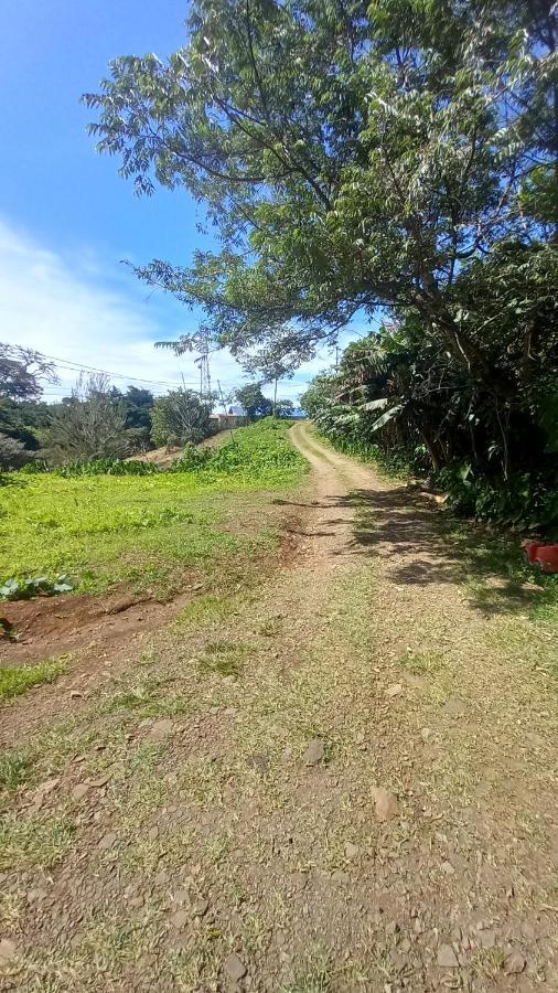 Finca Pantera Otel Monteverde Dış mekan fotoğraf