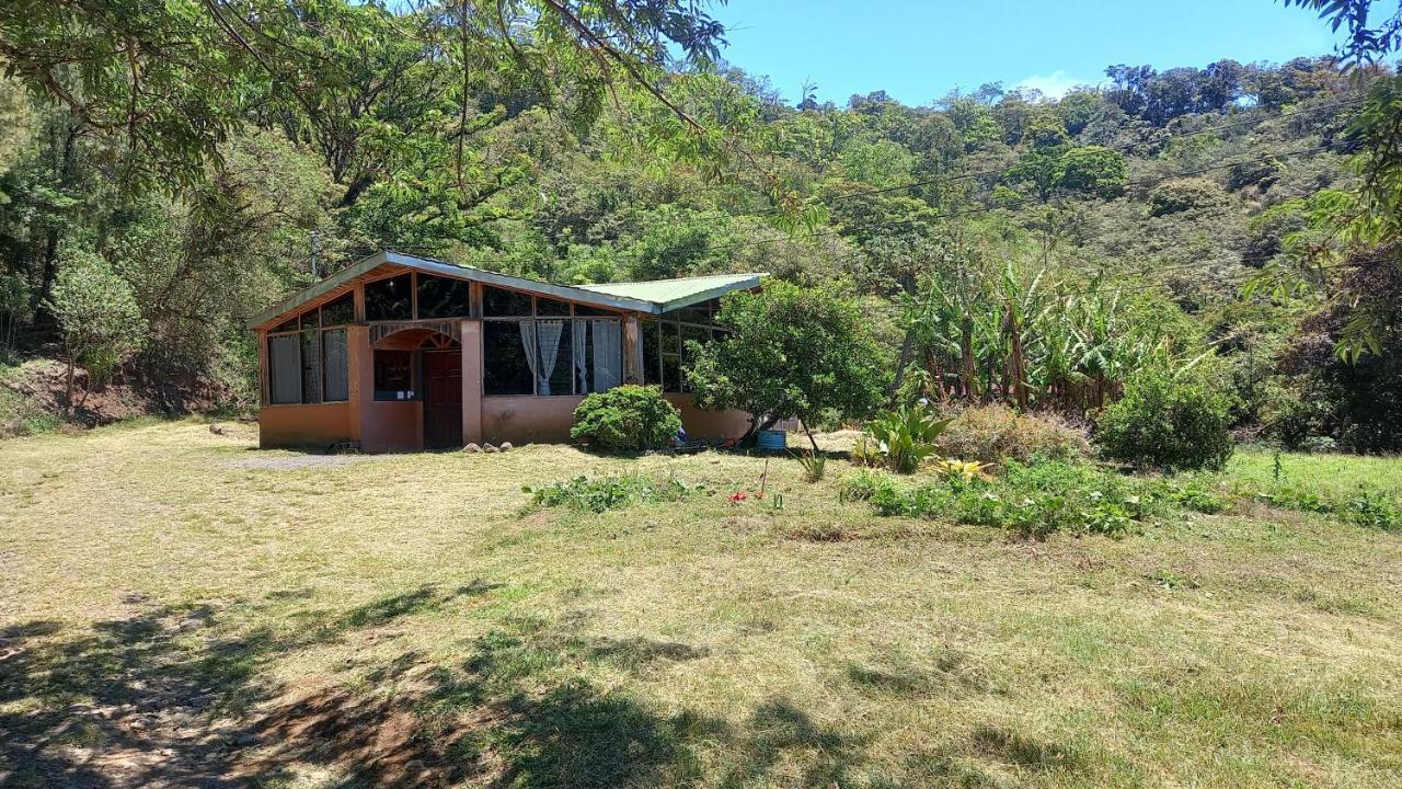 Finca Pantera Otel Monteverde Dış mekan fotoğraf